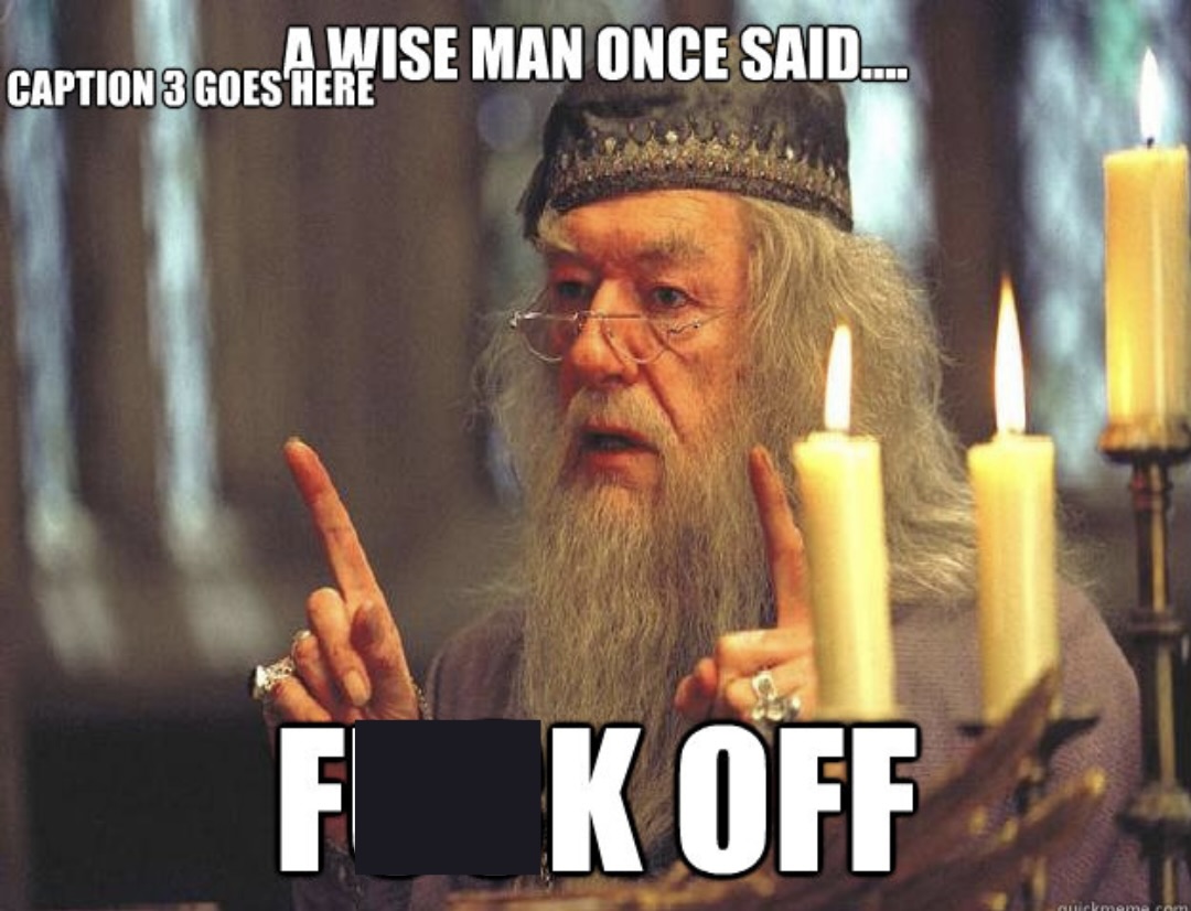 25 Wise Man Memes That Prove Wisdom Comes with a Side of Humor 23 Dumbledoor once said 1