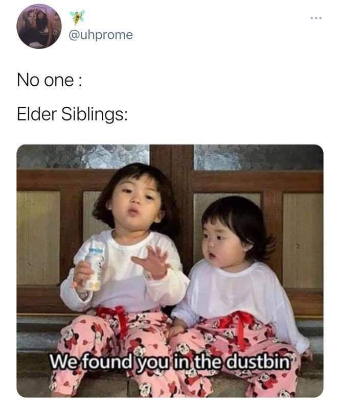 20 Memes That Could Be Art, If You Squint Hard Enough 5 Elder siblings