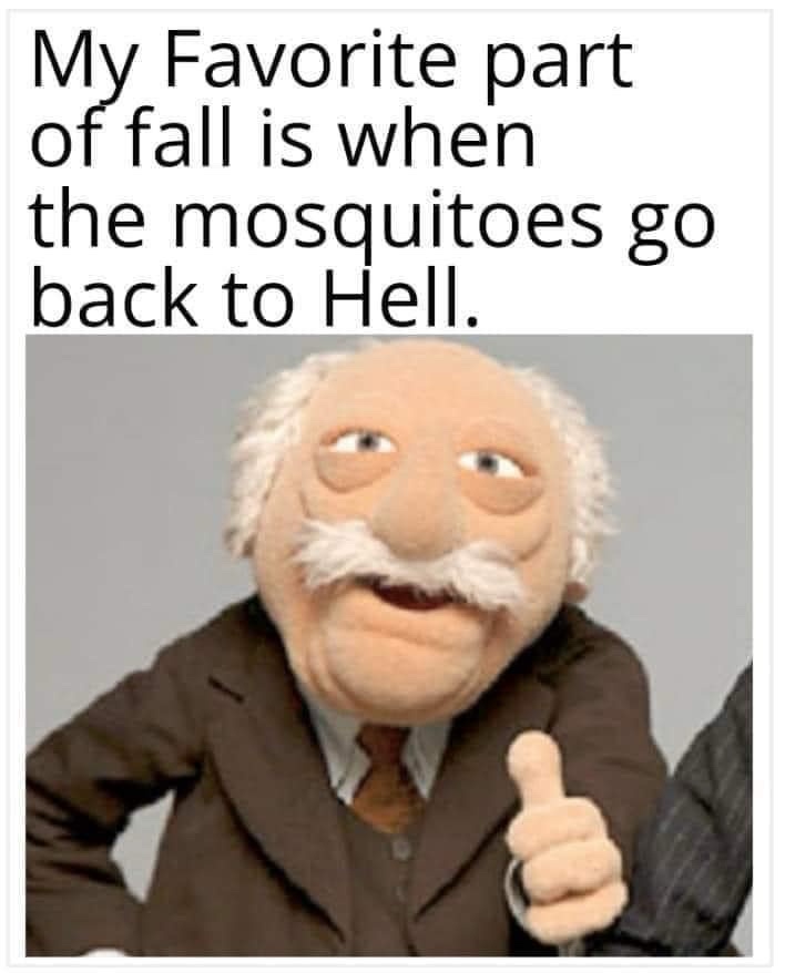 20 Memes That Could Be Art or Nonsense (You Decide) 7 Favorite part of fall