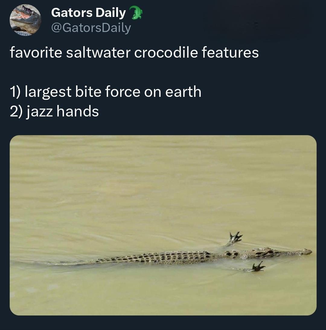 20 Memes That Somehow Ended Up in Your Day 7 Favorite saltwater