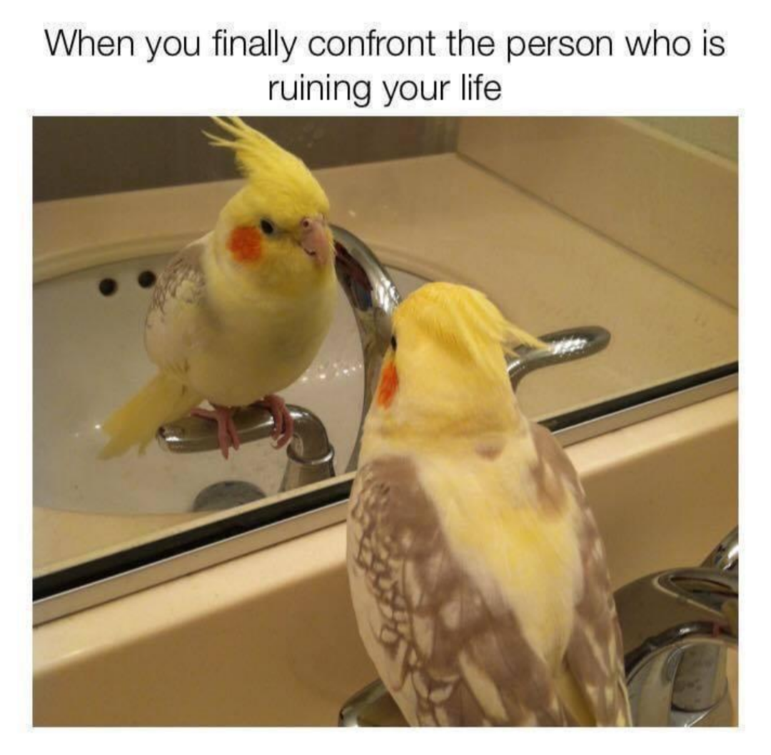 22 Memes That Are Like a Plot Twist for Your Day 5 Finally confront the person