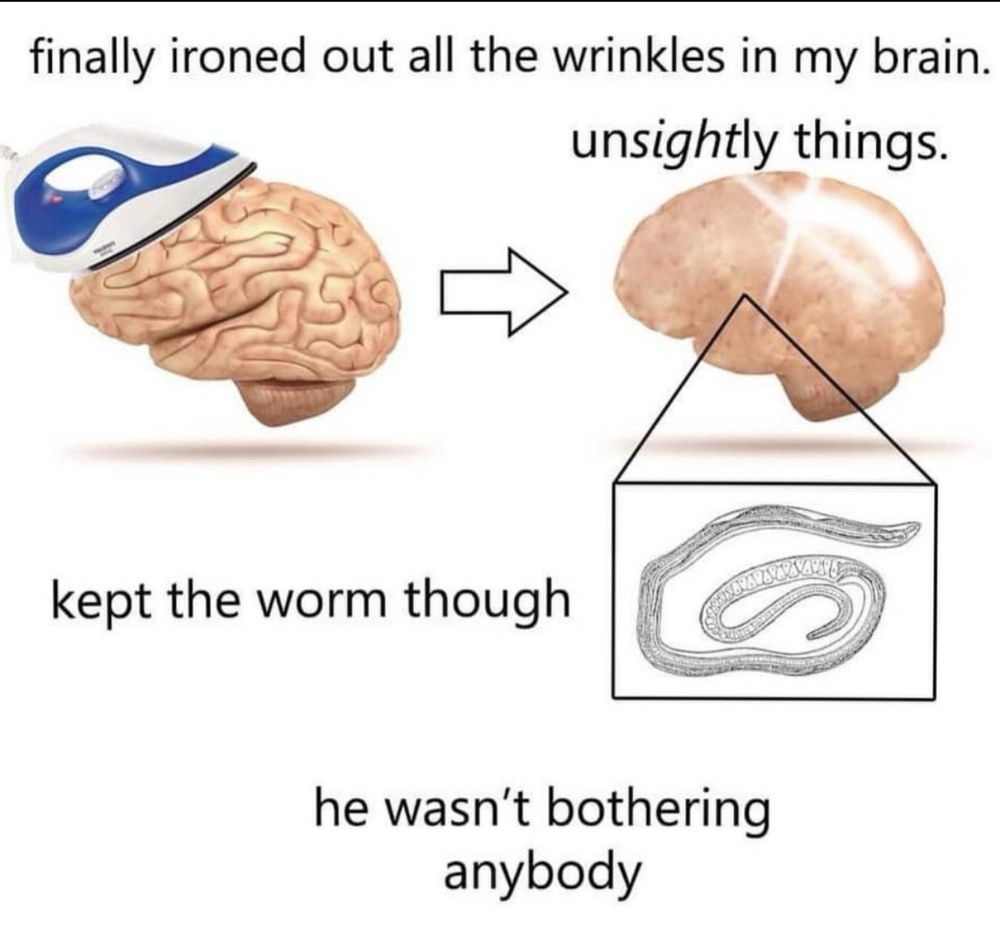20 Memes That Are the Beautiful Mess Your Brain Needs 6 Finally ironed out