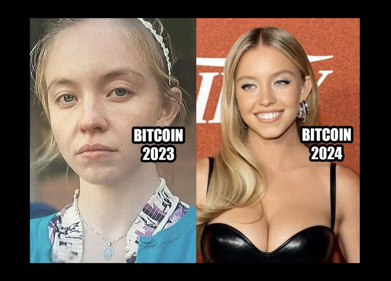 Financial Memes - FG