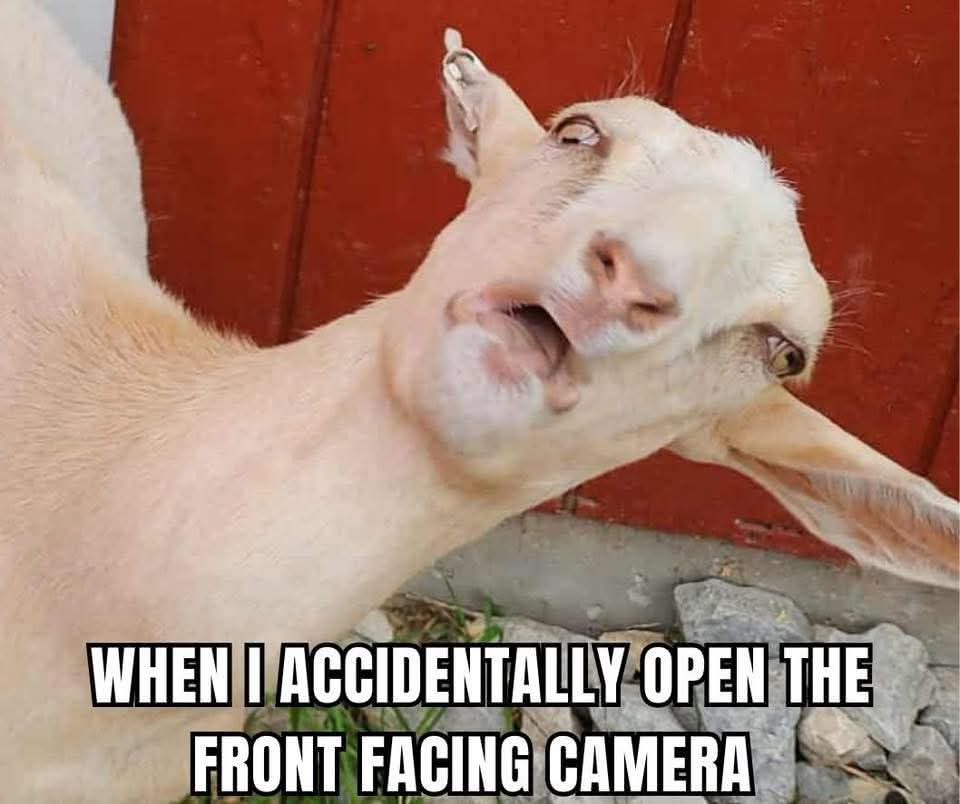 Front facing cameras