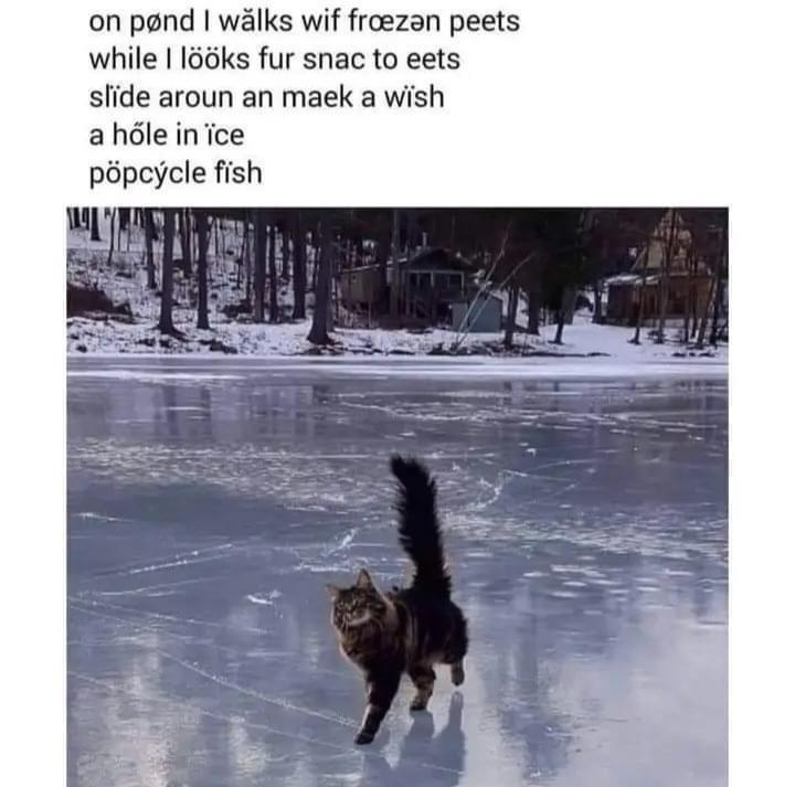 Frozen feets