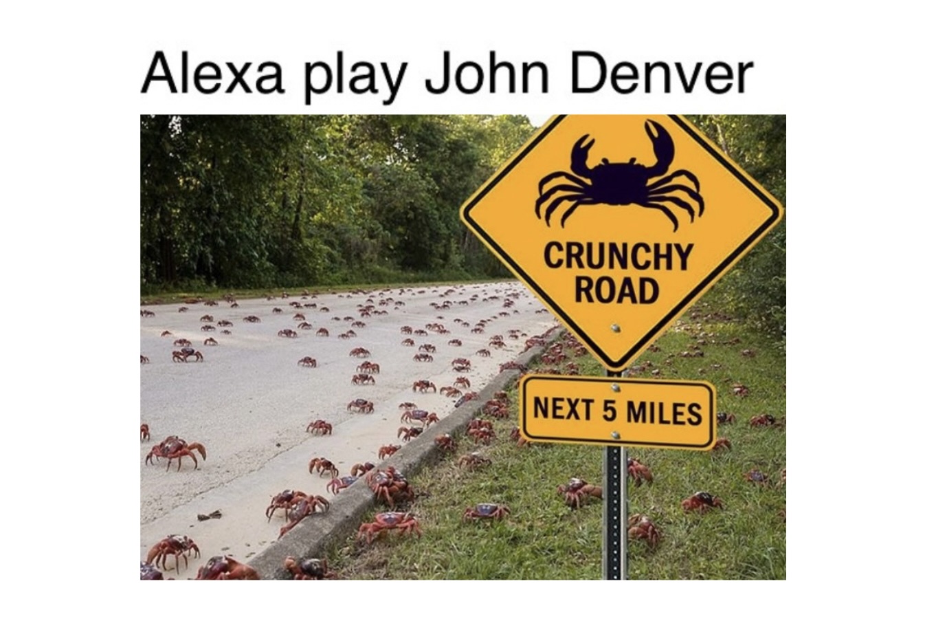 Funny Memes for Every Mood - FG