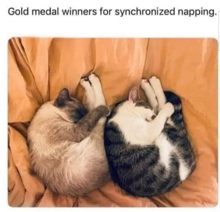 20 Memes You’ll Regret Not Clicking On 5 Gold medal winers