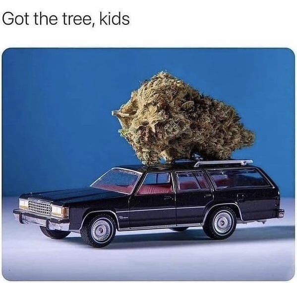 22 Memes That Are Like a Plot Twist for Your Day 7 Got the tree