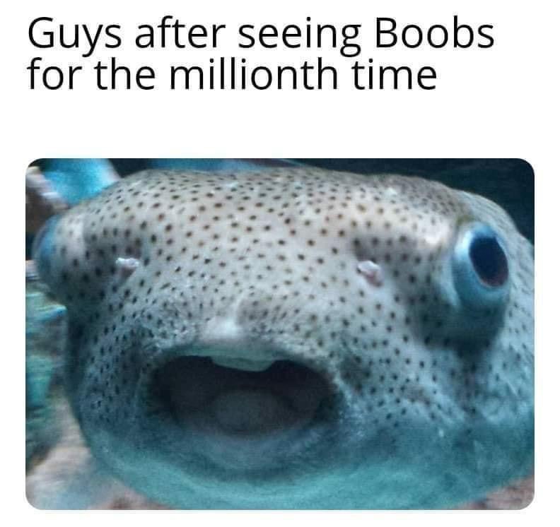 20 Memes That Could Be Art, If You Squint Hard Enough 7 Guys after seeing
