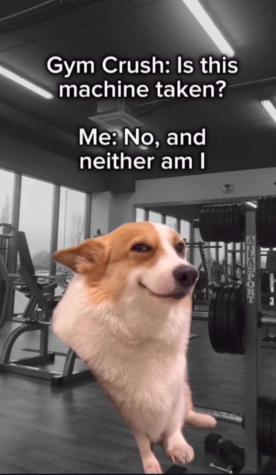 20 Memes That’ll Confuse You into Laughter 5 Gym crush