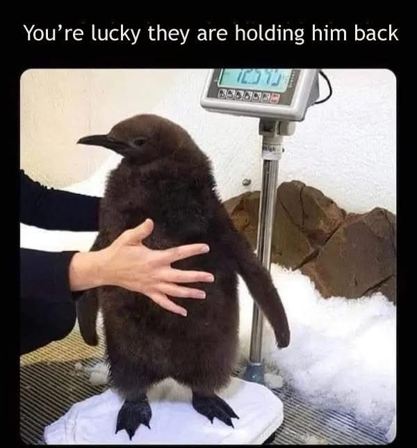 29 Memes That Shouldn’t Be This Funny (But Are) 25 Holding him back