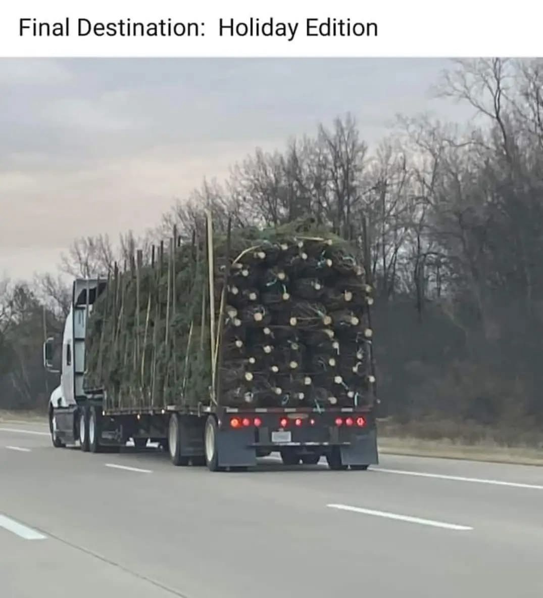 20 Memes That Are the Answer to a Question Nobody Asked 7 Holiday edition