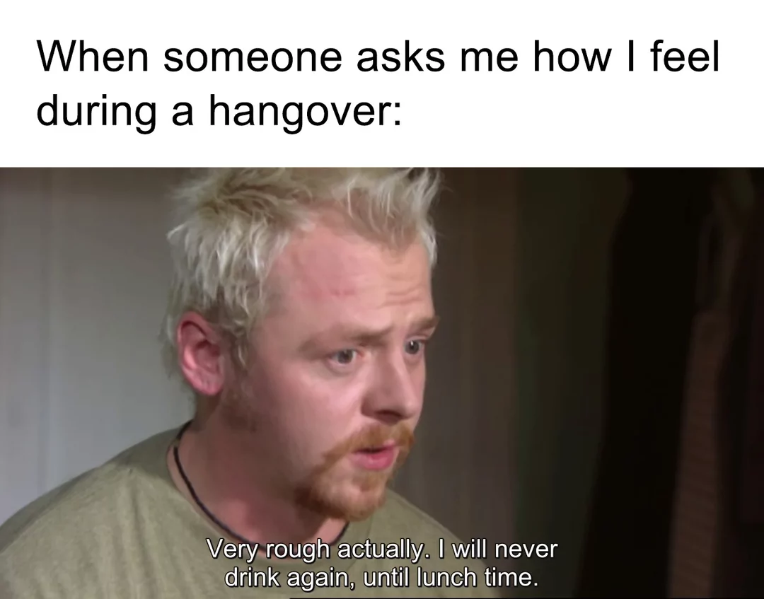 28 Hangover Memes That Very Well Captures The Pain Of Being In A Hungover 26 How I feel during a hangover