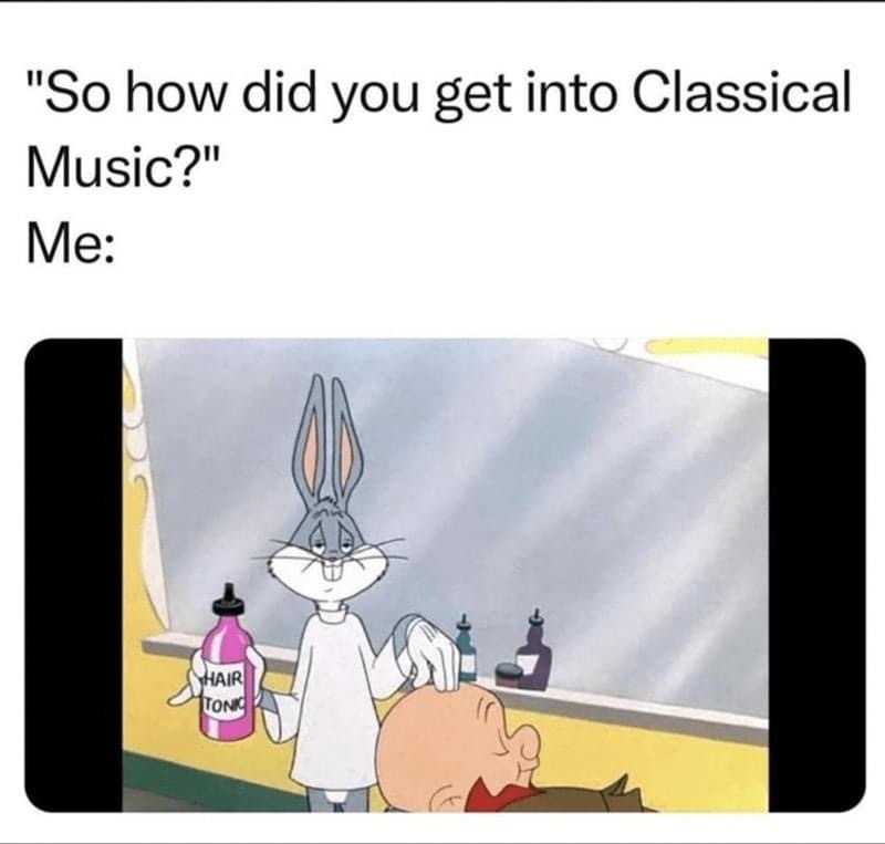 23 Memes That Only Make Sense When You Stop Thinking 8 How did you get into classical music