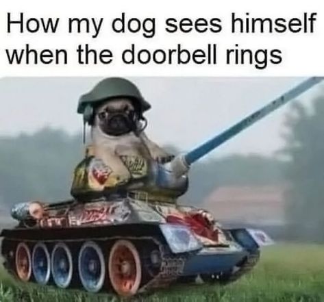 20 Cheeky Dog Memes That Are the Ultimate Mood Boosters 5 How my dog sees - Cheeky Dog Memes