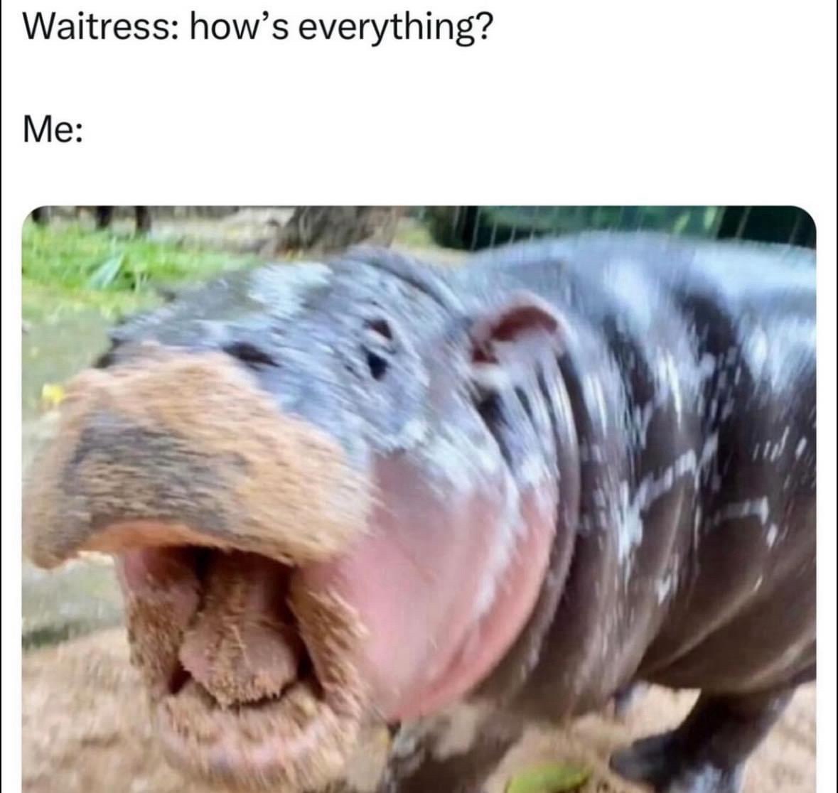 20 Random Memes That Are Unreasonably Funny 5 Hows everything