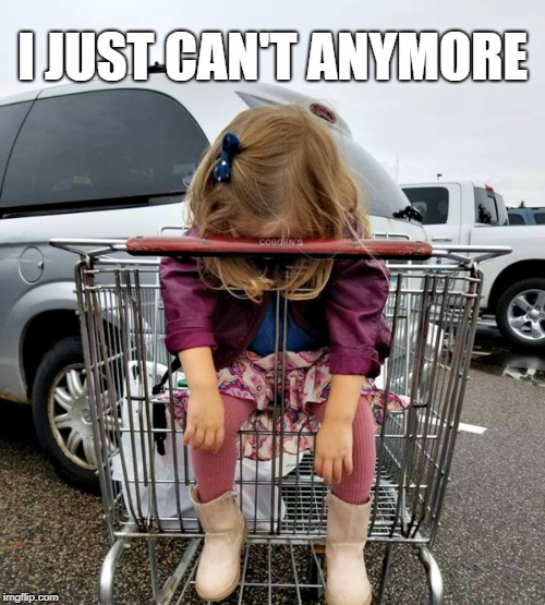 30 Reasons That Prove Shopping With Kids Is Not An Easy Task 28 How it looks