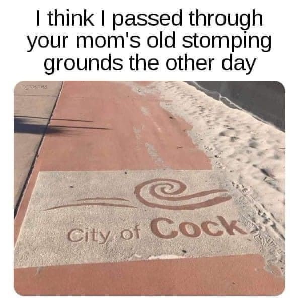 20 Memes That Are the Perfect Mix of Dumb and Brilliant 4 I passed through