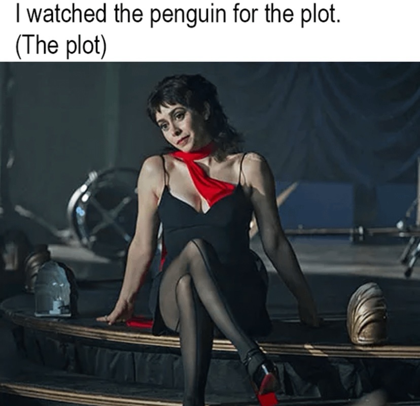 20 Memes You Need to See Before You Can Go on With Your Day 6 I watched penguin for the plot