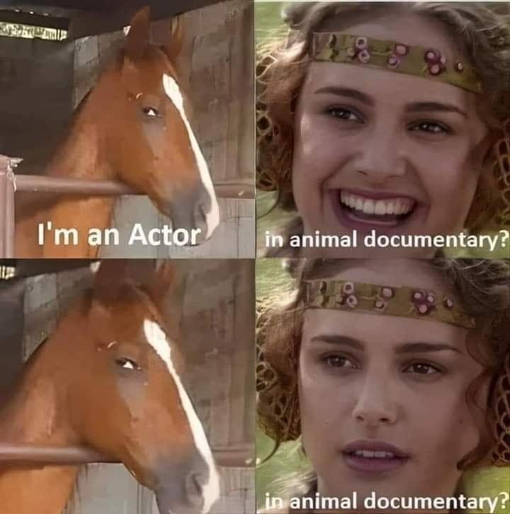 20 Memes That Dare to Be a Little Naughty 8 Im an actor