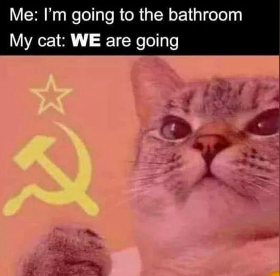 20 Memes That Are the Beautiful Mess Your Brain Needs 9 Im going to bathroom
