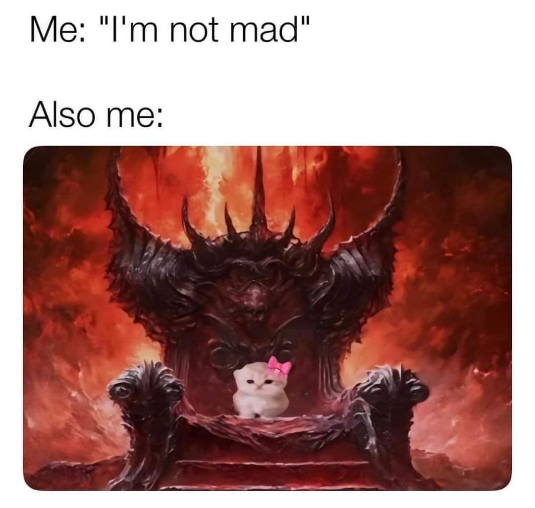 20 Funny Caturday Memes You’ll Regret Not Clicking On 11 Im not mad - Funny Caturday Memes