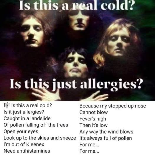 26 Memes That’ll Drag You into a Rabbit Hole of Laughter 10 Is this a real cold