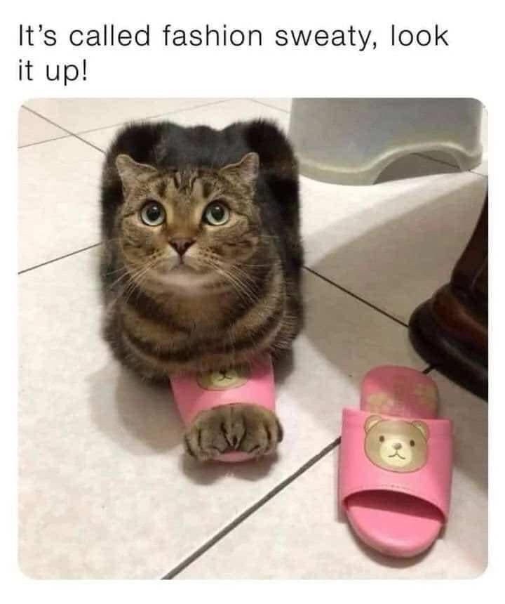 20 Memes That’ll Make You Wonder If They’re About You 8 Its called fashion
