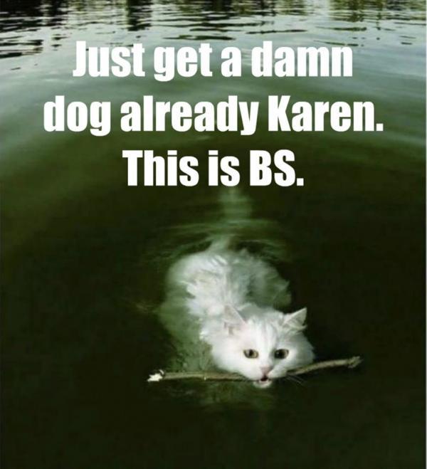 30 Cat Vs Dog Memes To Show Who Is Superior 30 Just get a dog karen