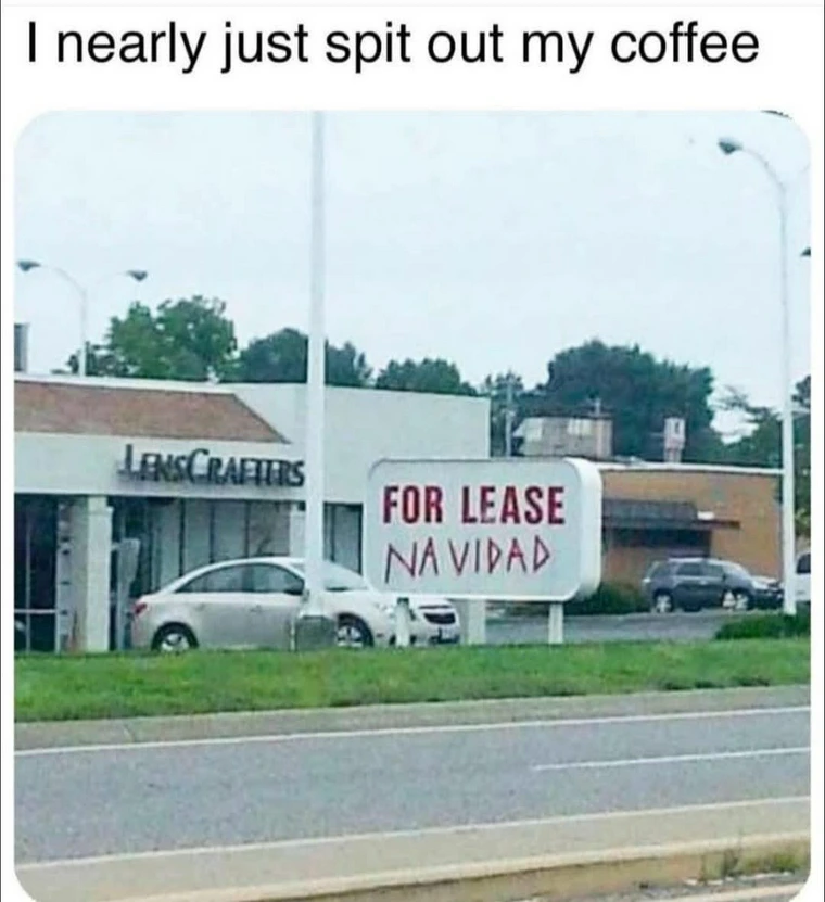 20 Memes That Taste Like Snacks for Your Brain 8 Just spit out my coffee