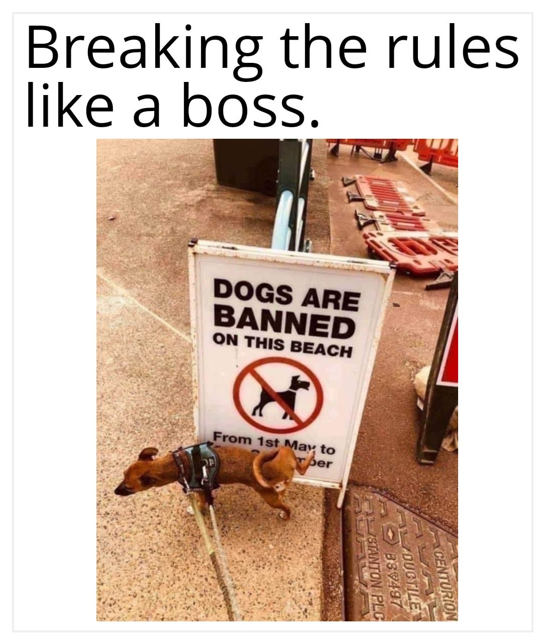 30 Comical "Breaking Rules" Memes That Shows No Respect For The Authority 28 Like a boss