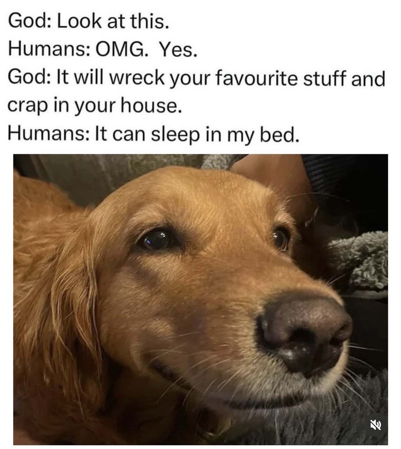 15 Memes That Are More Unpredictable Than Your Wi-Fi Signal 7 Look at this