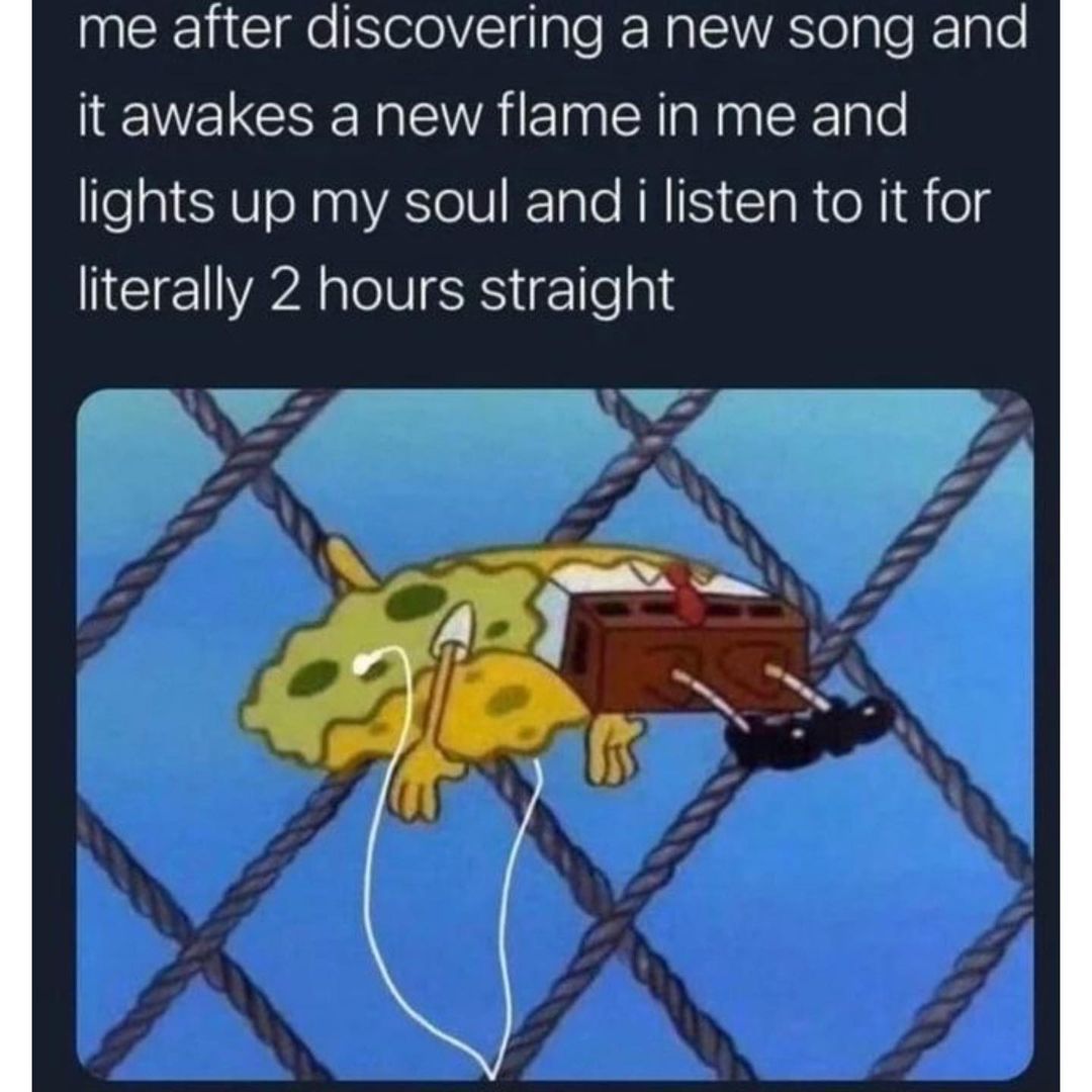 20 Relatable Memes That Prove We're All in This Together 10 Me after discovering a new song - Relatable Memes