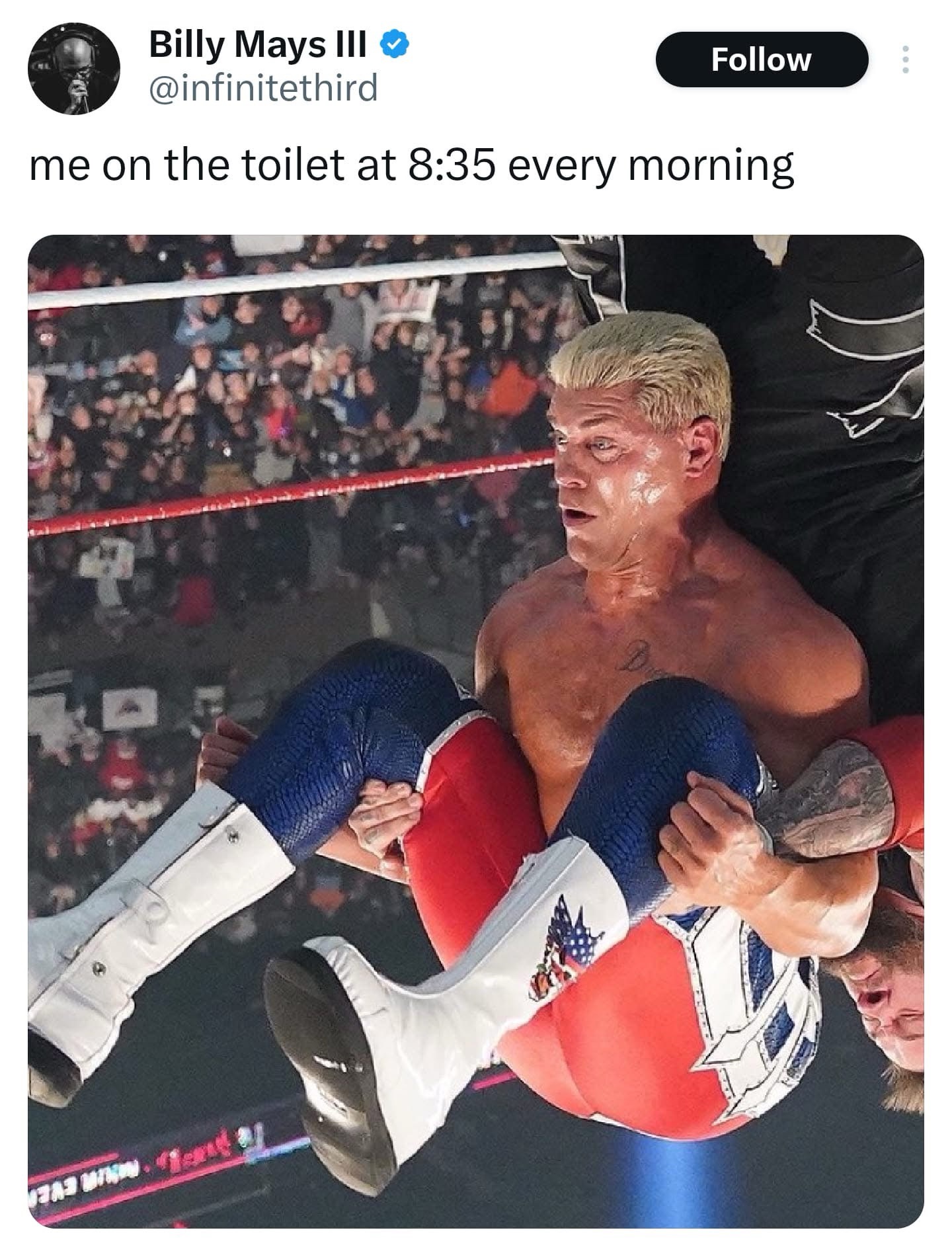 20 Memes That’ll Make Your Stomach Hurt (From Laughing, Not Tacos) 9 Me on the toilet