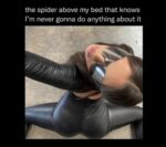 Memes That Are the Soundtrack to a World - FG.jpeg