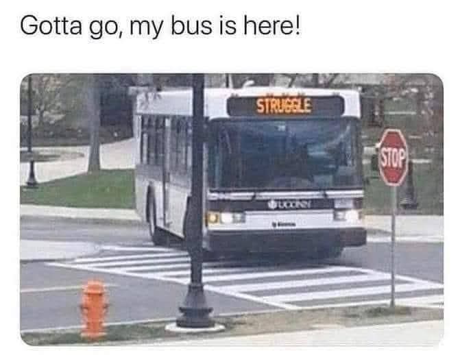 My bus is here