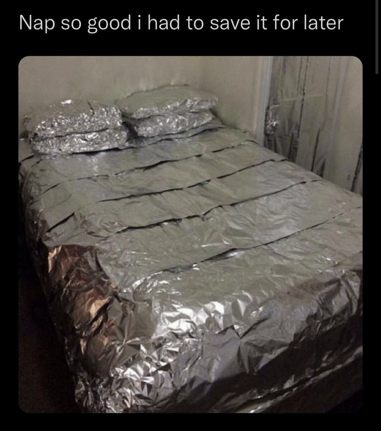 20 Memes That Could Have Only Come from a Dream You Had at 3 AM 8 Nap so good