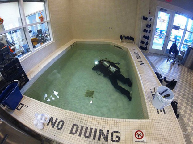 30 Comical "Breaking Rules" Memes That Shows No Respect For The Authority 30 No diving