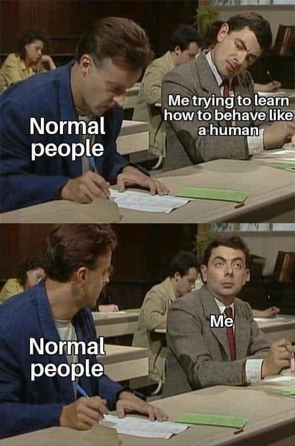 15 Memes That Are Both Chaos and Comfort 9 Normal people