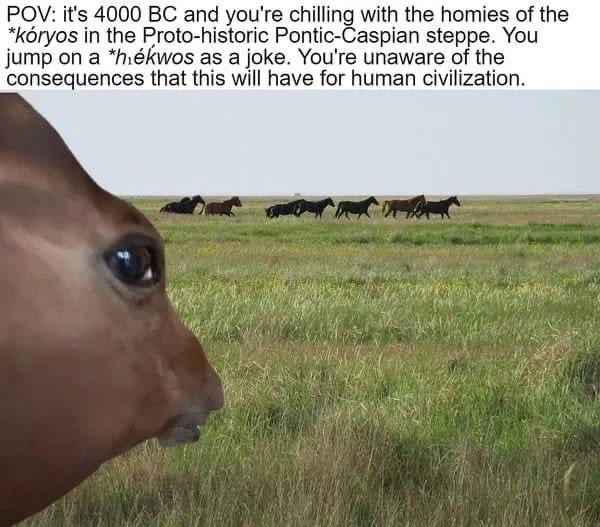 20 Memes That Will Rewrite Your Sense of Humor 11 POV