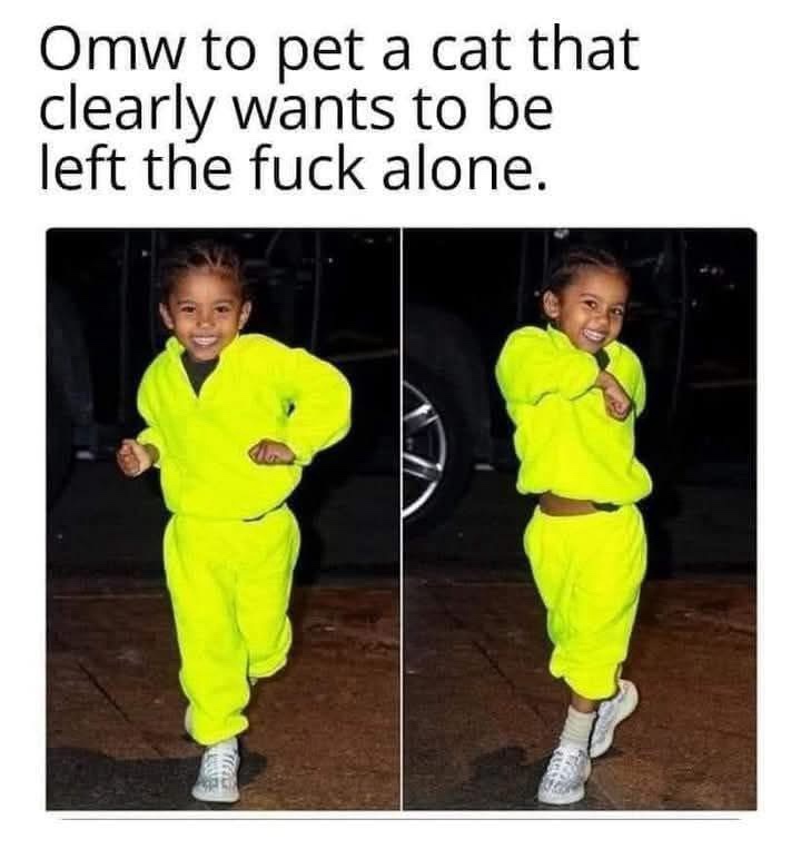 20 Memes That Feel Like a Rollercoaster Without a Seatbelt 16 Pet a cat