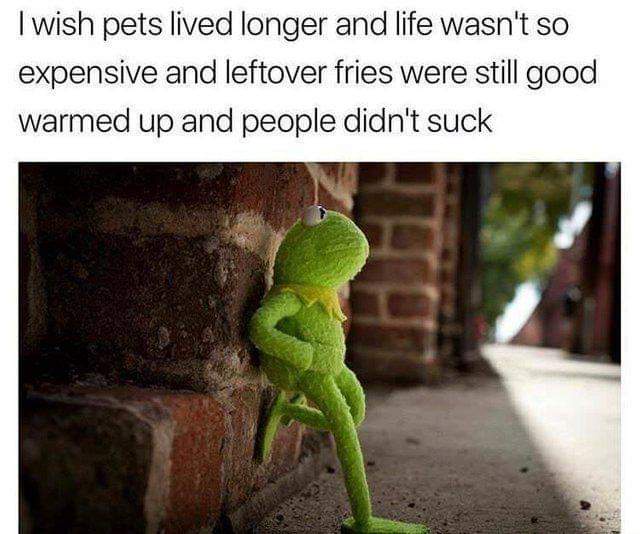 20 Memes That Could Be Art or Nonsense (You Decide) 16 Pets lived longer
