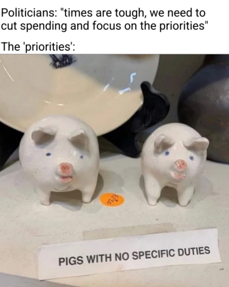 20 Random Memes That Are Unreasonably Funny 11 Priorities