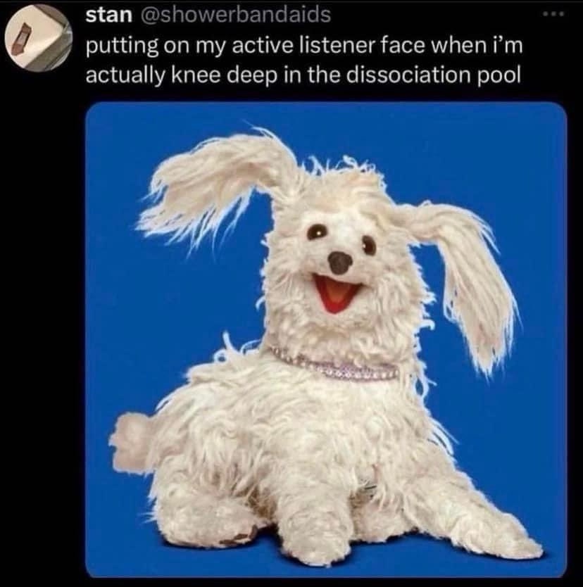 15 Memes That Are More Unpredictable Than Your Wi-Fi Signal 10 Putting on my active listener