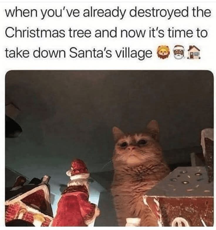 20 Memes That Might Be Deep… or Just Dumb 11 Santas village