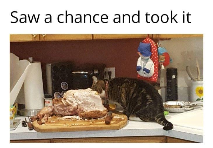 20 Memes for When You’re Too Tired to Make Sense of Anything 12 Saw a chance