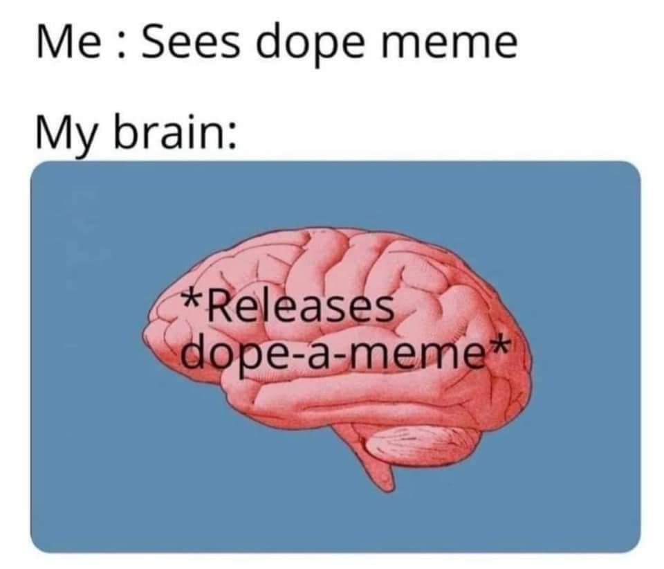 20 Memes That Somehow Ended Up in Your Day 15 Sees dope meme