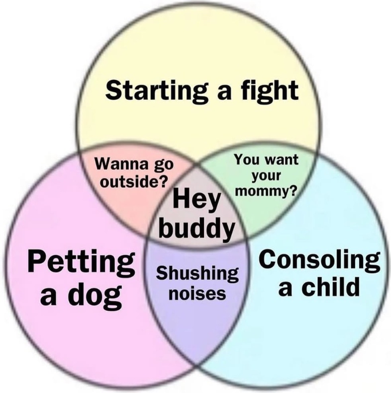 20 Random Memes That Are Unreasonably Funny 13 Starting a fight