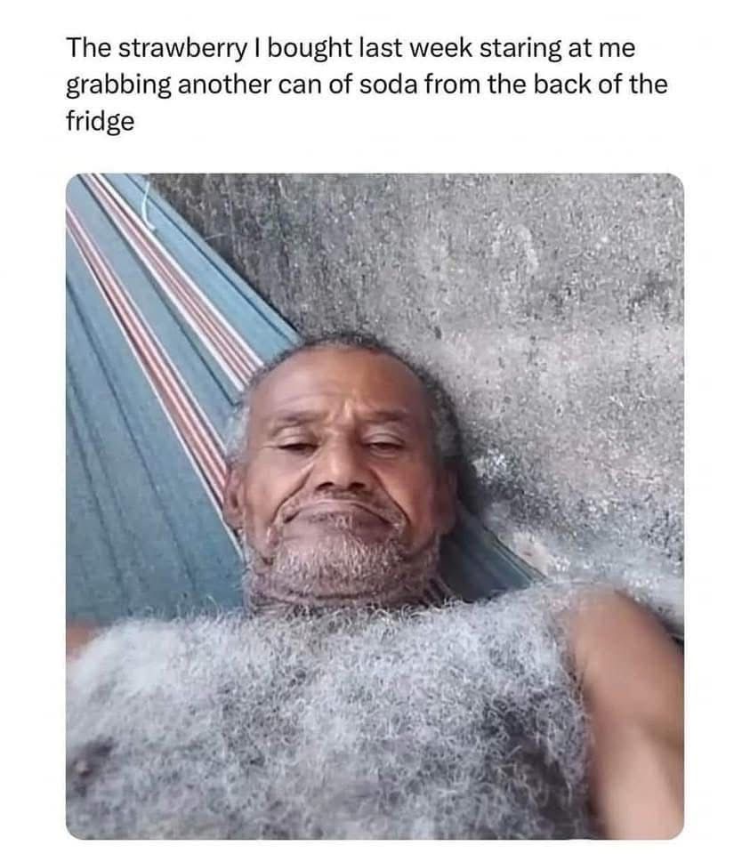 16 Memes That Will Distract You from Life for 10 Minutes (Or More) 10 Strawberry I brought