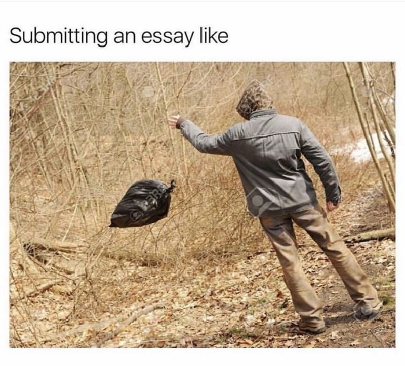 20 Memes You Need to See Before You Can Go on With Your Day 17 Submitting anessay